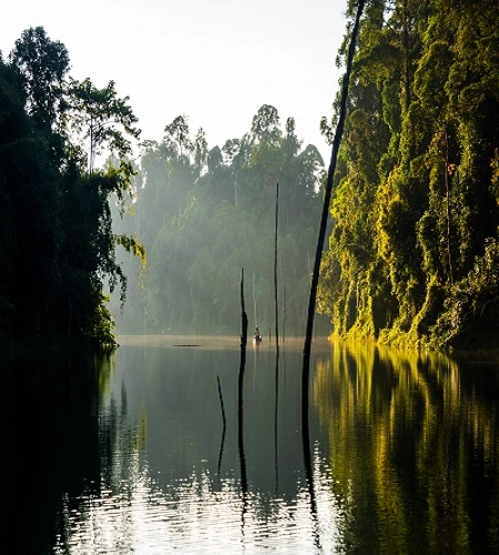 Eine aromatische Reise durch Malaysias Teegarten