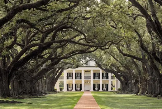 Oak Alley Plantage in Louisiana