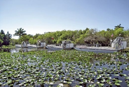Everglades Nationalpark Florida USA