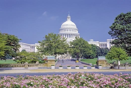 Blick auf Capitol und Blumengarten Washington D.C.